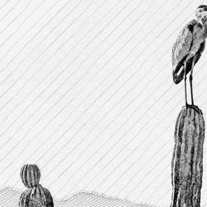 Bird Standing on a Cactus, Digital Pencil Sketch. Digital print for frame.