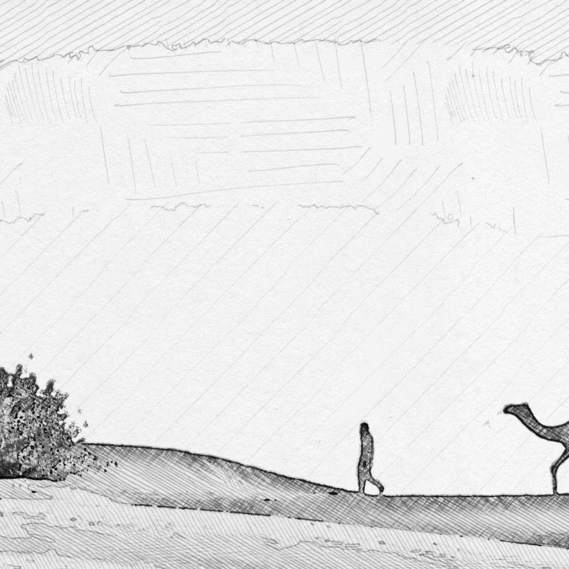 Camels Crossing the Desert, Digital Pencil Sketch. Digital print for frame.