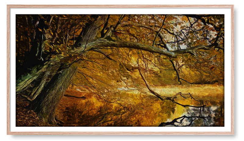 Fall Trees with Reflection in Water. Fall Collection for the Samsung Frame TV