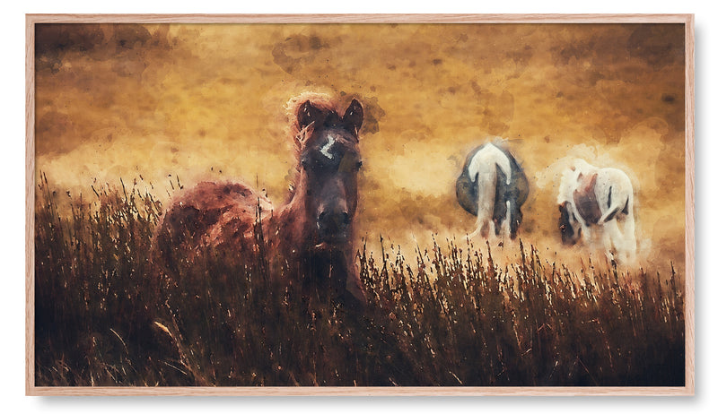 Horses Grazing in Tall Grass. Artwork for the Samsung Frame TV