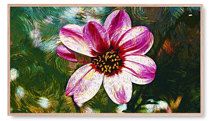 Pink Daisy Up Close. Artwork for the Frame TV