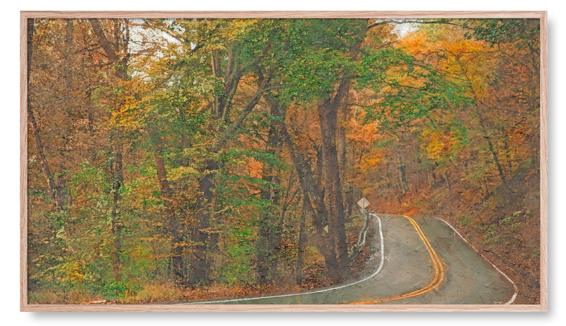 Winding Road Surrounded By Trees. Artwork for the Frame TV
