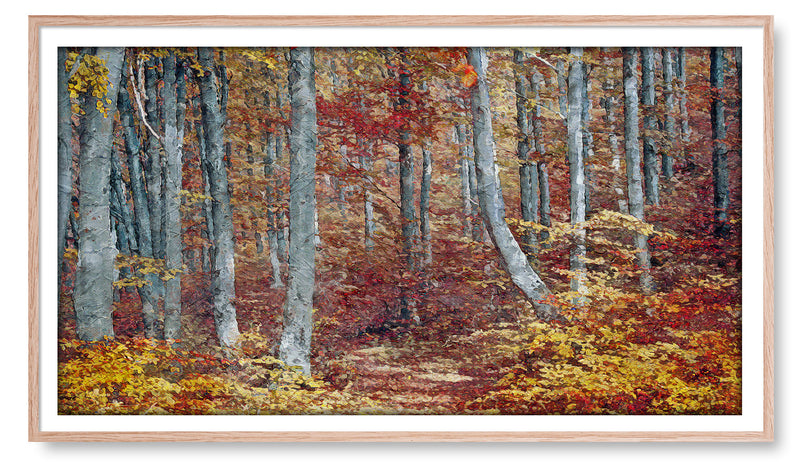 Leaves Changing on Trees. Artwork for the Frame TV