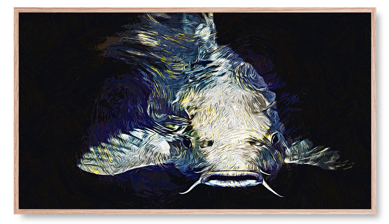 Single Koi Fish in a Pond. Artwork for the Samsung "Frame TV"