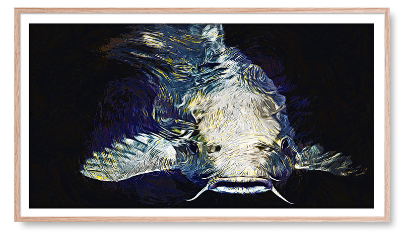 Single Koi Fish in a Pond. Artwork for the Samsung "Frame TV"