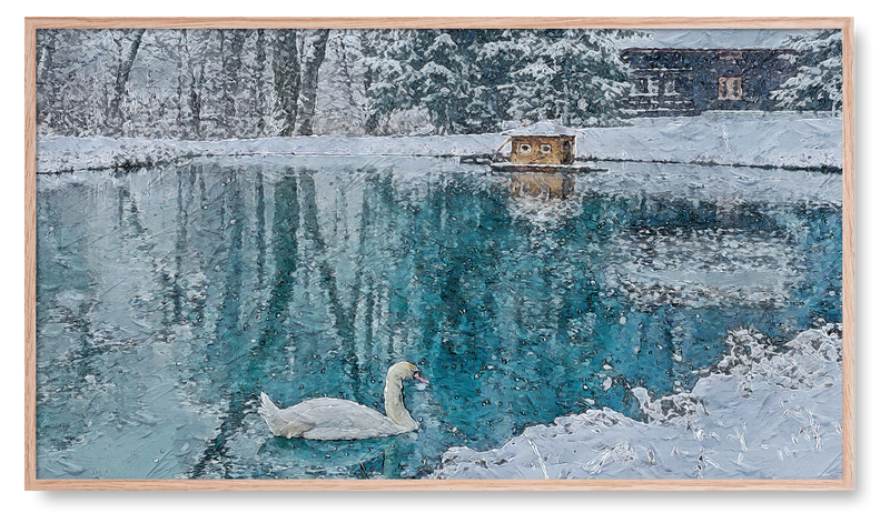 Swan Swimming in Snowy Lake. Winter Collection for the Samsung Frame TV