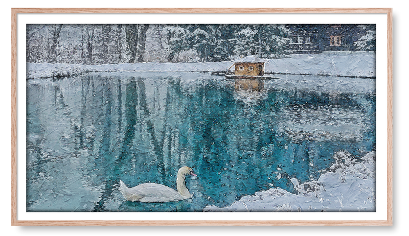 Swan Swimming in Snowy Lake. Winter Collection for the Samsung Frame TV