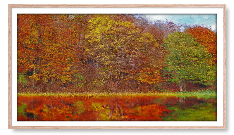 Trees on Lake with Reflection. Artwork for the Frame TV