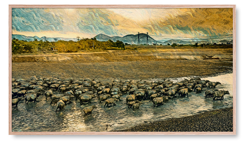 Herd of Water Buffalo. Artwork for the Frame TV