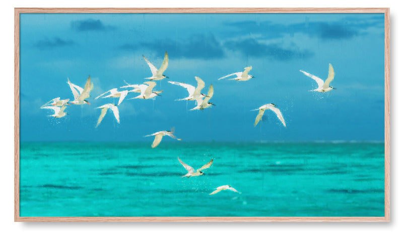 White Seagulls Flying. Artwork for the Frame TV
