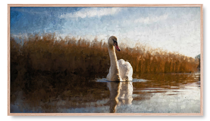 White Swan in a Lake. Artwork for the Frame TV