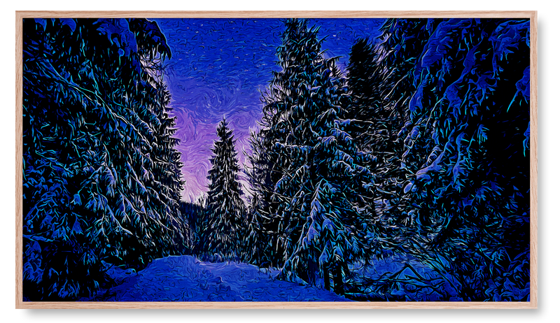 Snowy Evergreen Trees at Night. Winter Collection for the Samsung Frame TV